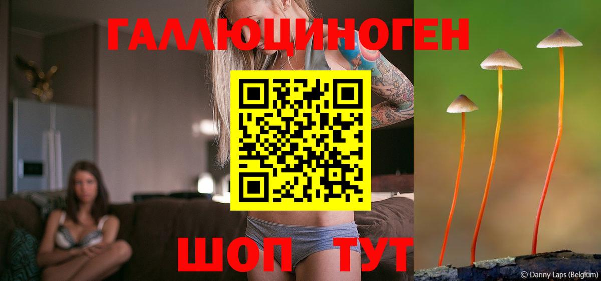 продажа наркотиков  Псилоцибиновые грибы Psilocybe  Вход с VPN  Новоалтайск  Галлюциногенные грибы GOLDEN TEACHER 