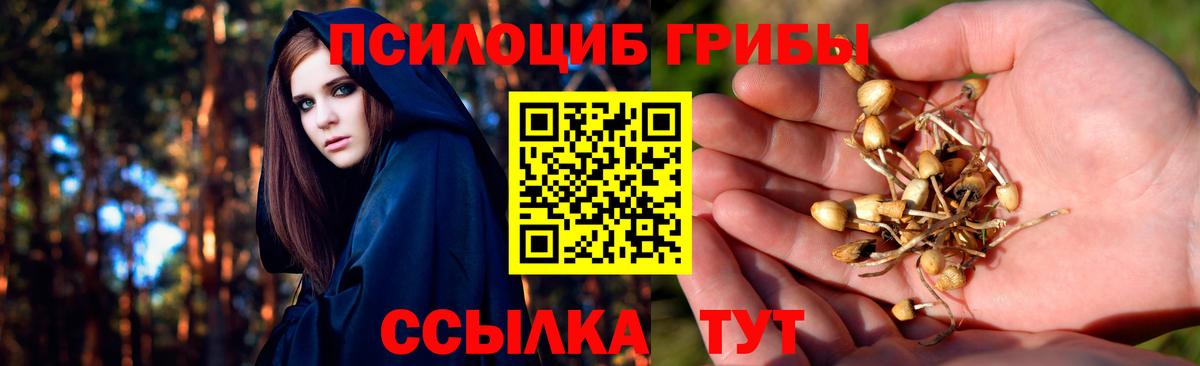 Псилоцибиновые грибы мицелий Новоалтайск